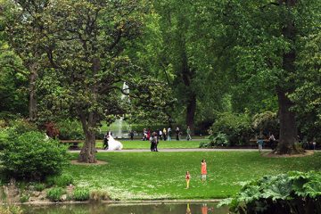 jardin des plantes