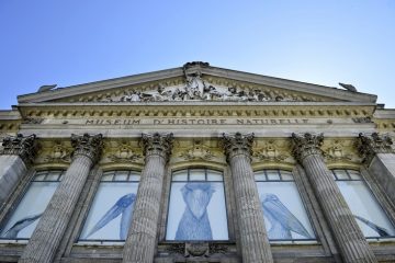 muséum d'histoire naturelle
